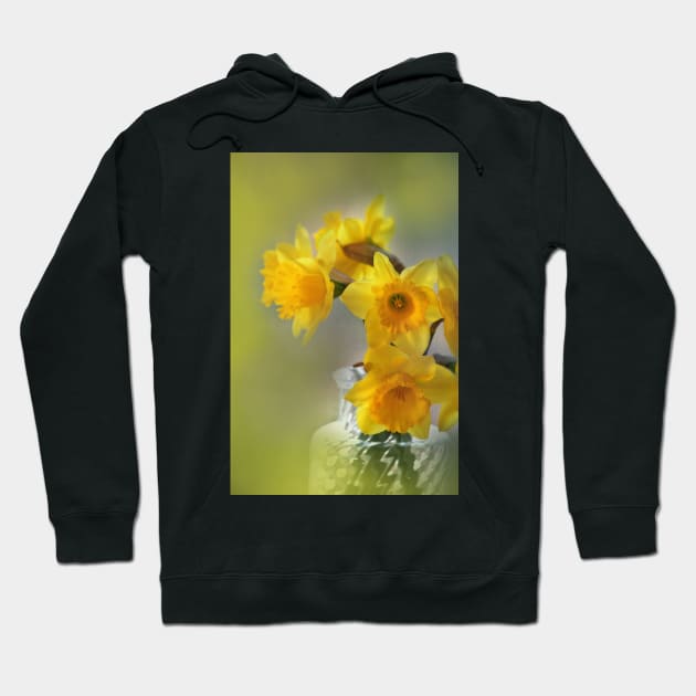 My First Daffodils Hoodie by EileenMcVey